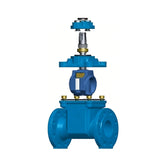 Resilient Seated Gate Valve