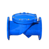 Rubber Disc Check Valve