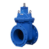 Resilient Seated Gate Valve