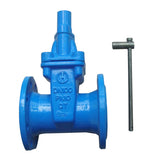Mechanical Anti-Theft Gate Valve