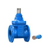 Non-Magnetic Anti-Theft Gate Valve