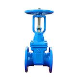 Rising Stem Gate Valve