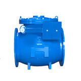 Swing Check Valve