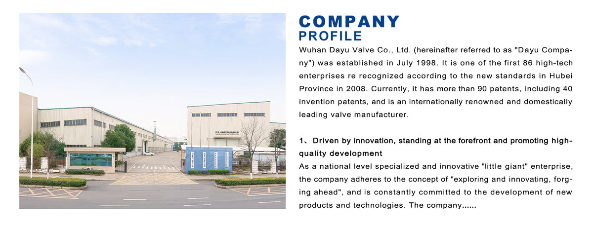 dayu-valves.com